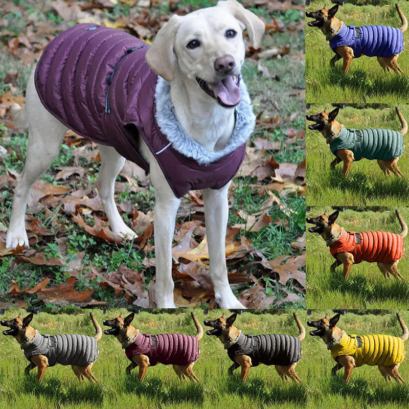 Casual Cotton Clothing for Four-Legged Dogs