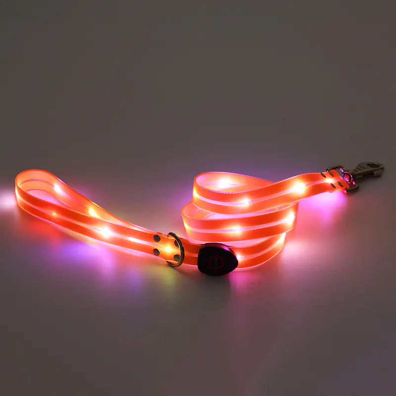 Rechargeable LED Luminous Nylon Pet Collar & Tow Rope