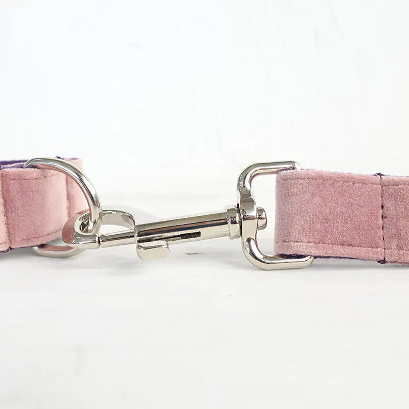 Thick Durable Pet Leash for Dogs and Pets