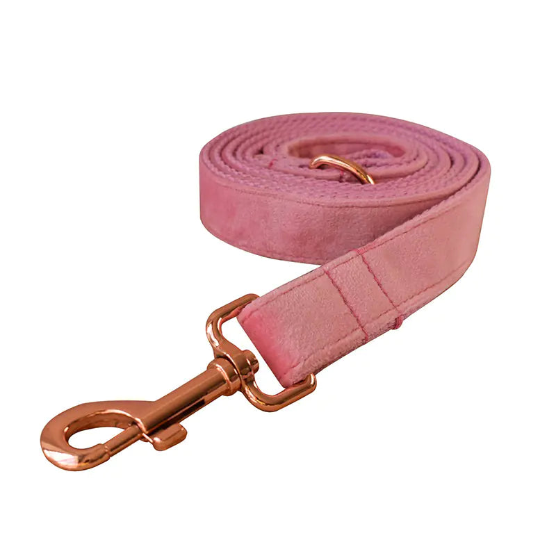 Double Layer Microfiber Rose Gold Buckle Pet Collar