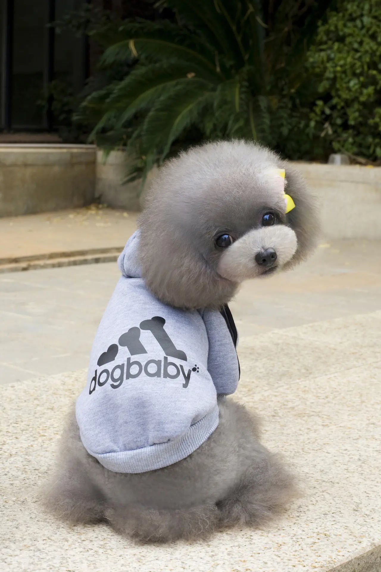 DogBaby Autumn Winter Sports Hoodie for Pets