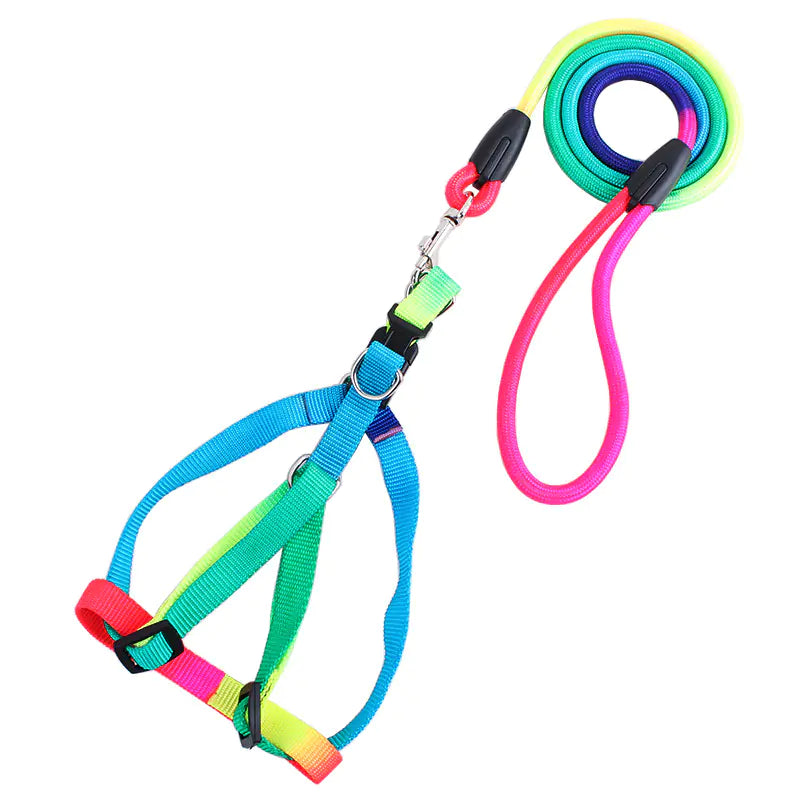 Colorful Round Pet Leash with Harness for Dogs