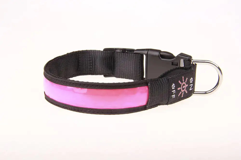 Rechargeable Luminous Pet Collar for Dogs