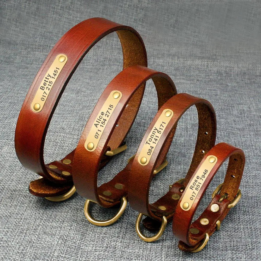 Customizable Leather Dog Collar for All Breeds