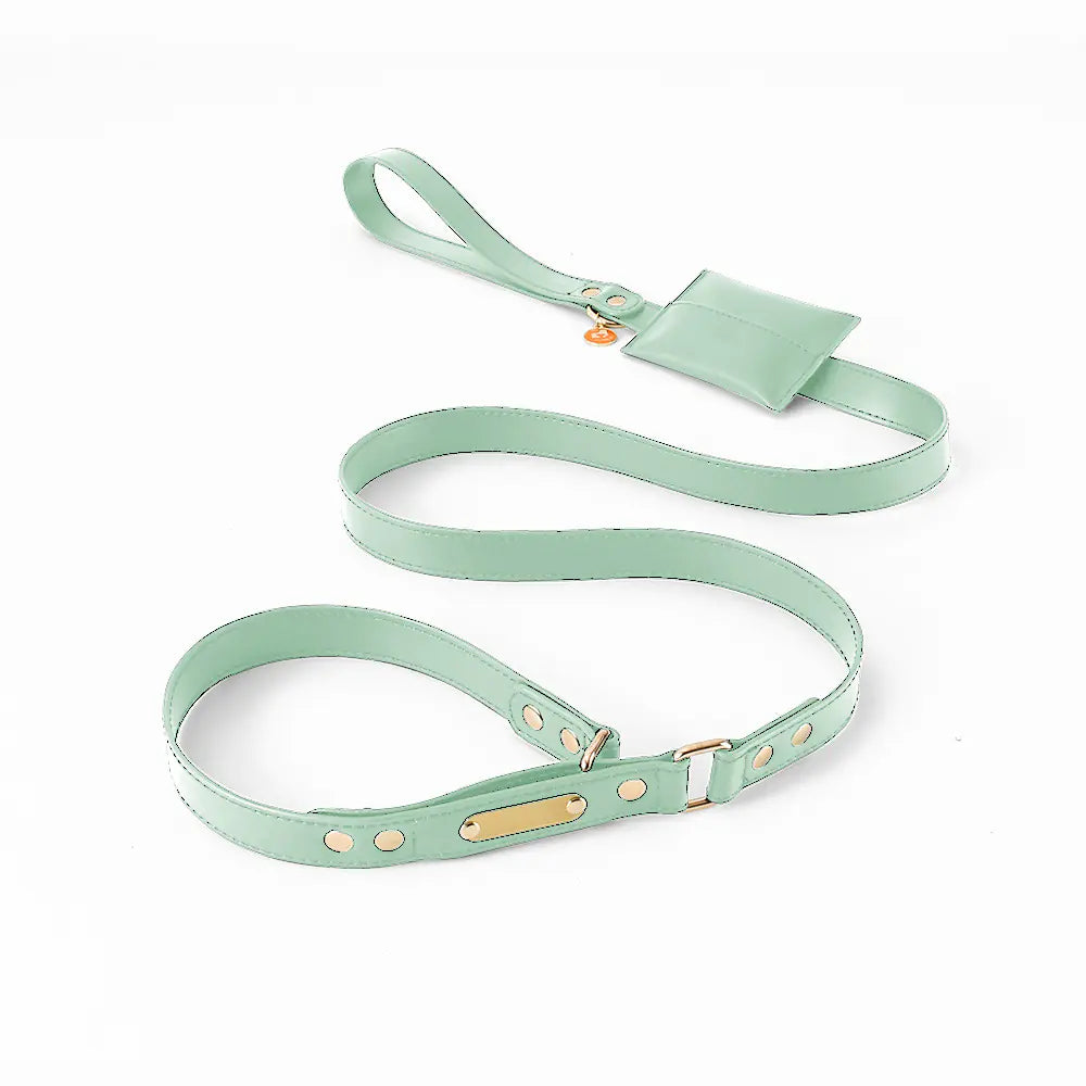 One-Piece Leather Explosion-Proof Dog Leash
