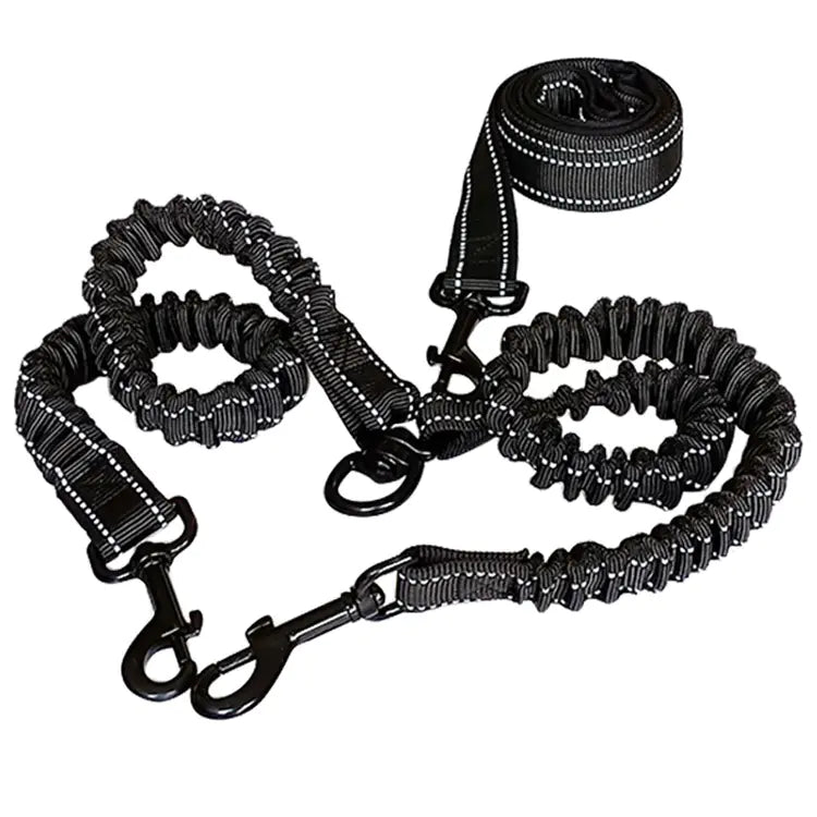 Dual Dog Leash with Reflective Features