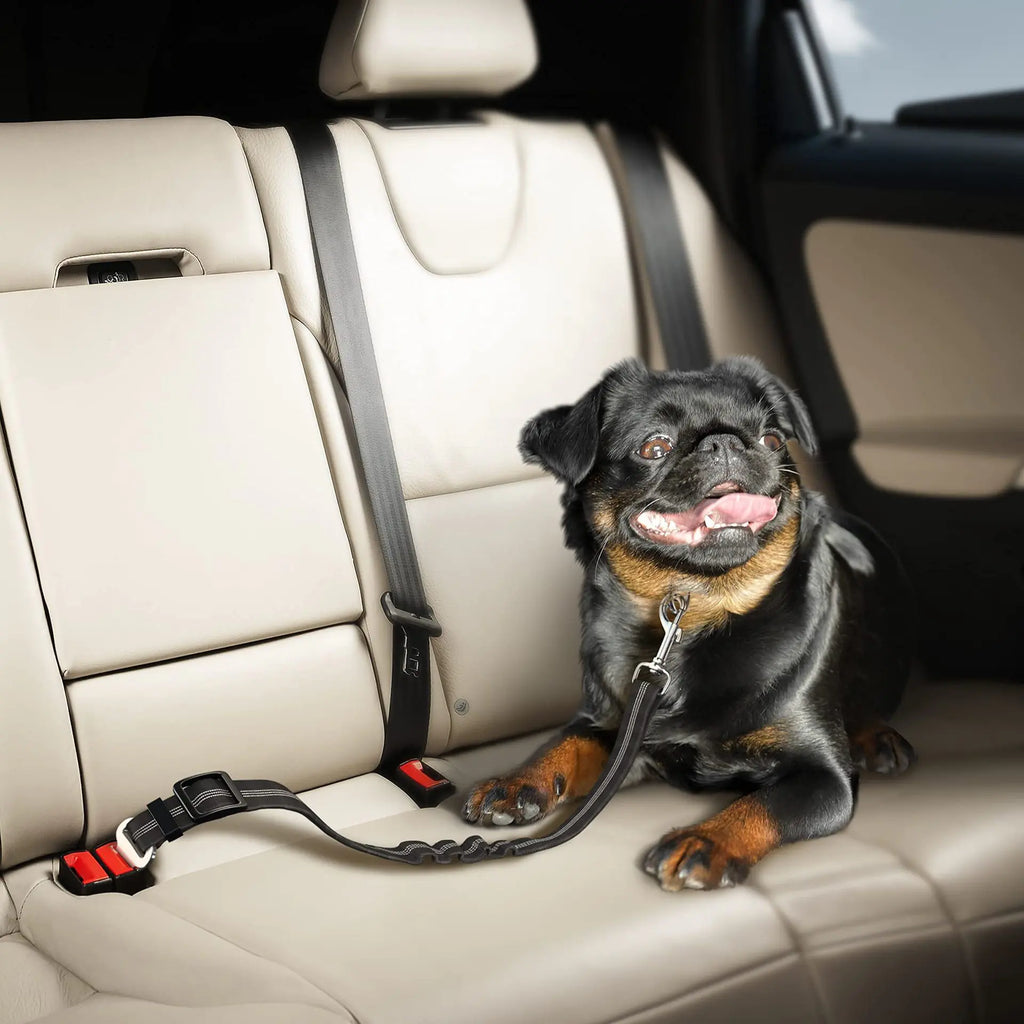 Reflective Automatic Retractable Dog Leash for Small Dogs