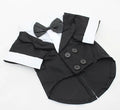 Big Dog Dress with Bow Tie - Puppy Clothing Suit