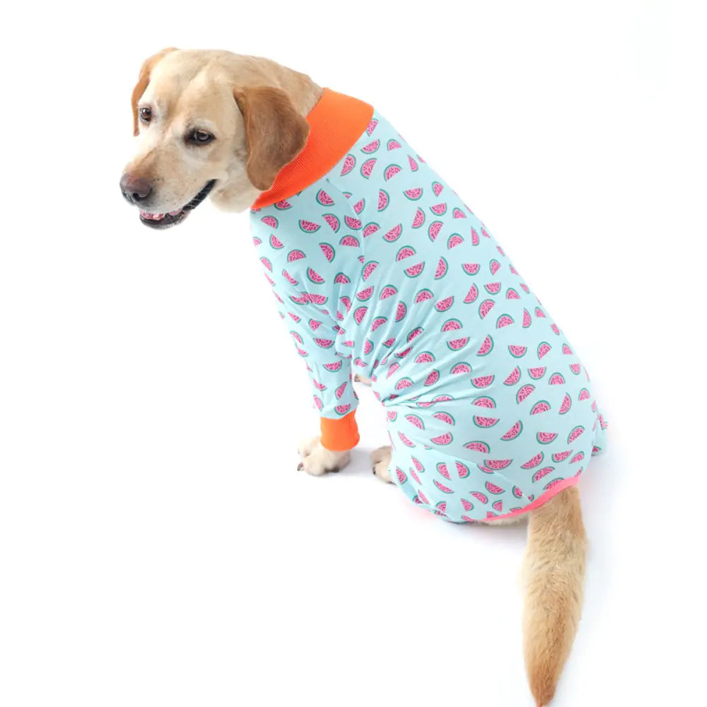 2024 Cute Cartoon Dog Print Bodysuit for Pets