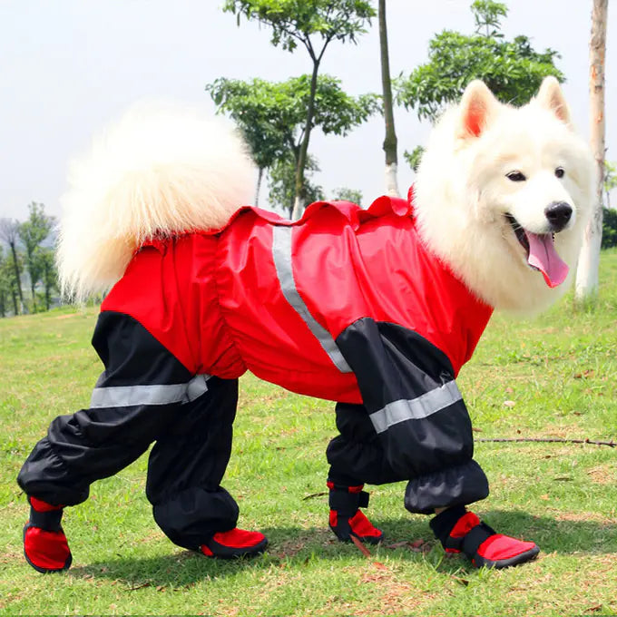 Waterproof Warm Dog Shoes for Spring and Autumn