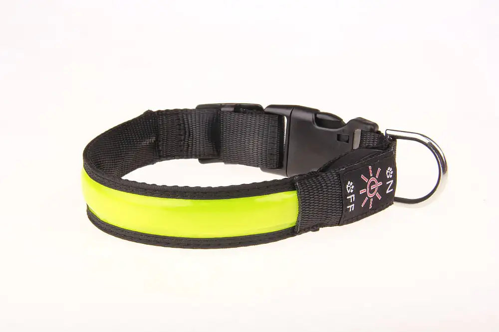 Rechargeable Luminous Pet Collar for Dogs