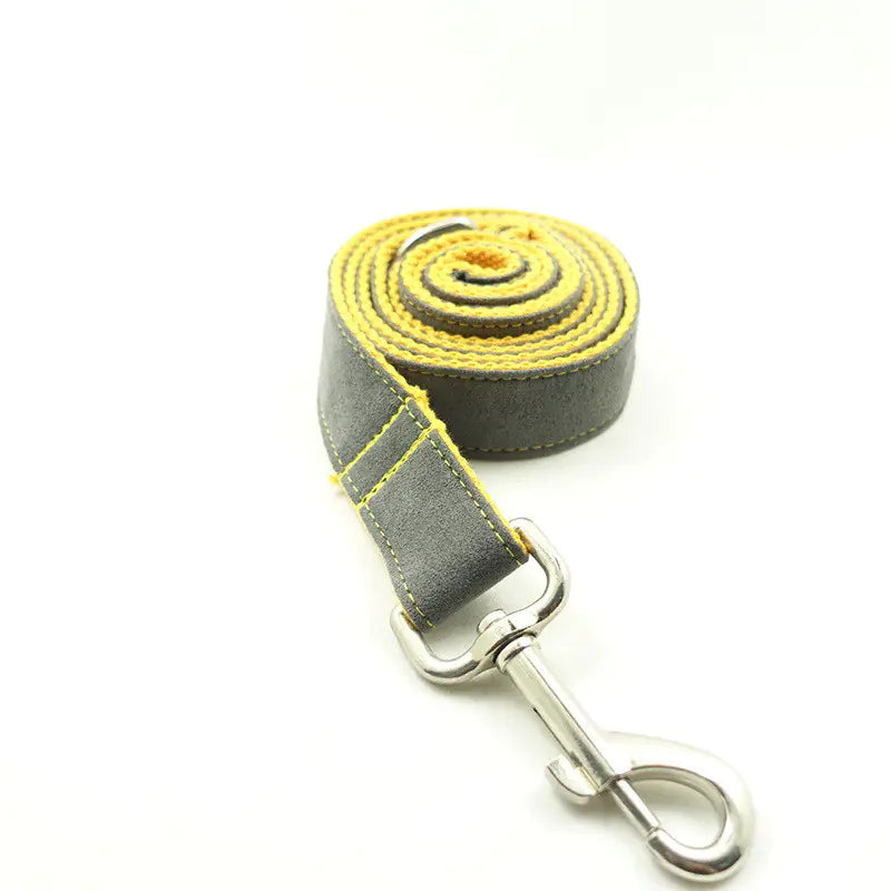 Creative Gray Dog Leash