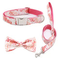 Customizable Pet Collar with Name and Phone Tag
