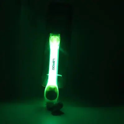 LED Light-Up Dog Collar with Leash for Night Walks