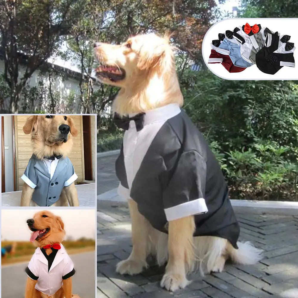 Big Dog Dress with Bow Tie - Puppy Clothing Suit