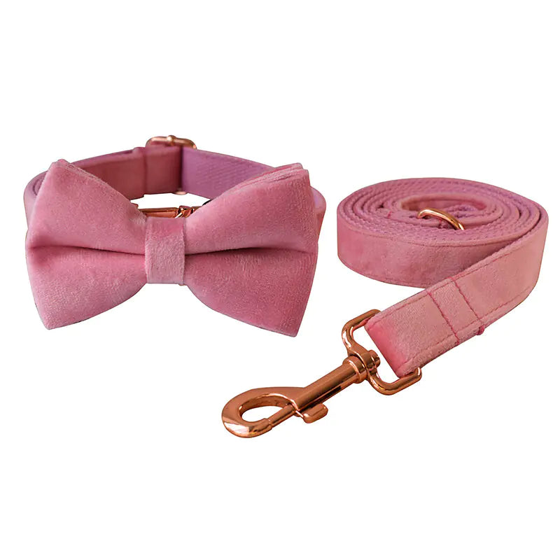 Double Layer Microfiber Rose Gold Buckle Pet Collar