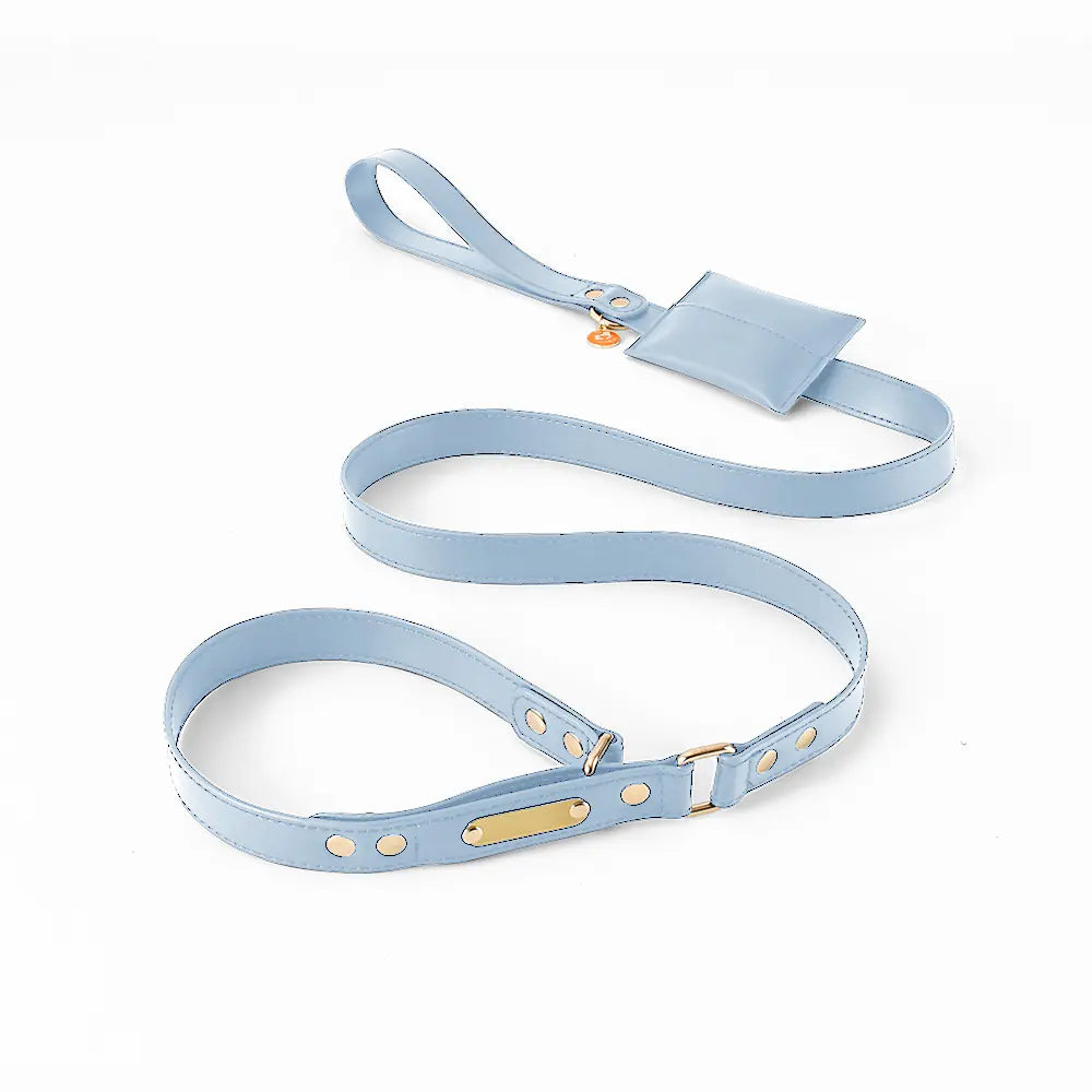 One-Piece Leather Explosion-Proof Dog Leash