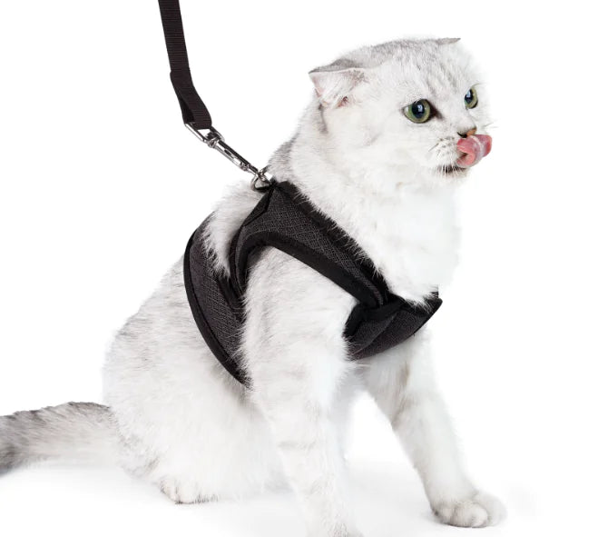 Puppy Dog Vest Style Traction Rope Harness