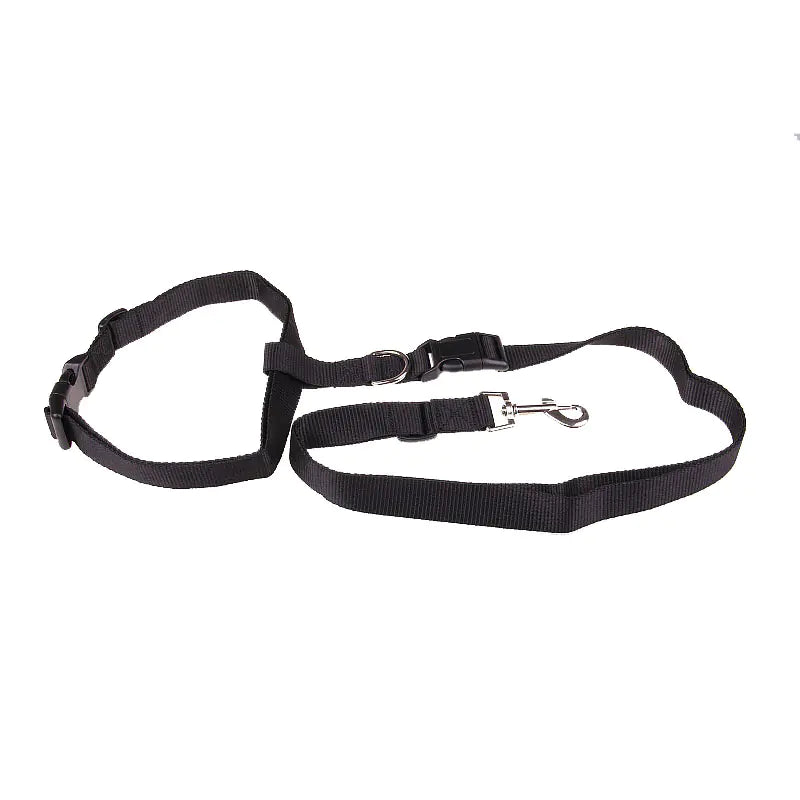 Special Traction Rope for Morning Dog Runs