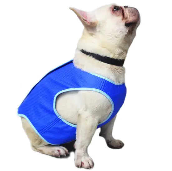 Cooling Vest for Dogs and Cats - PVA Summer Apparel