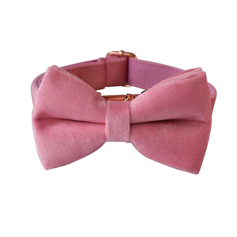 Double Layer Microfiber Rose Gold Buckle Pet Collar