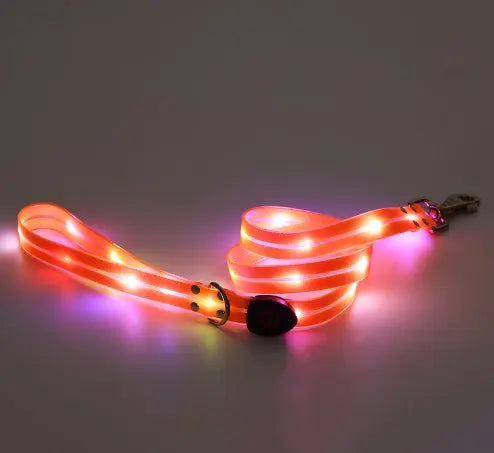 Rechargeable LED Luminous Nylon Pet Collar & Tow Rope