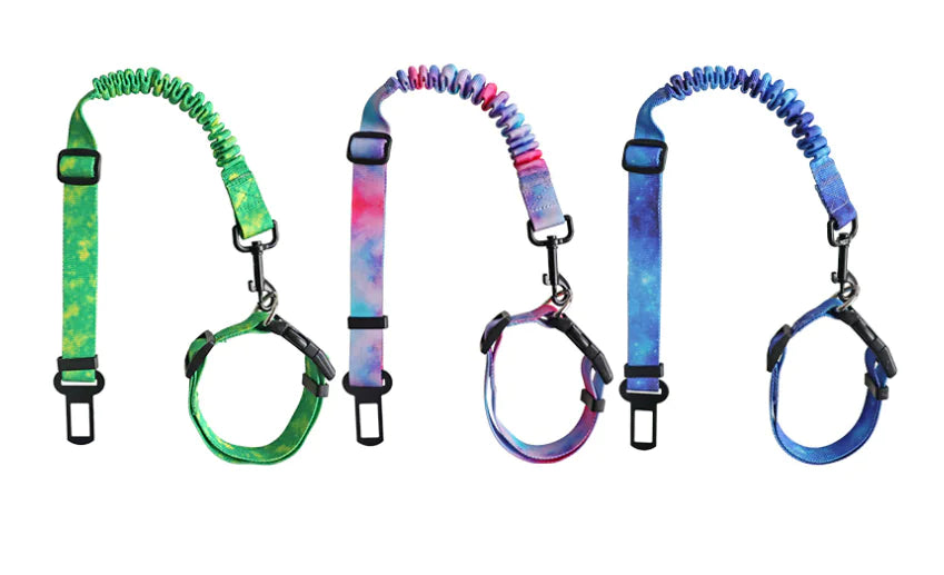 Bianmu Golden Retriever Medium Dog Walking Leash