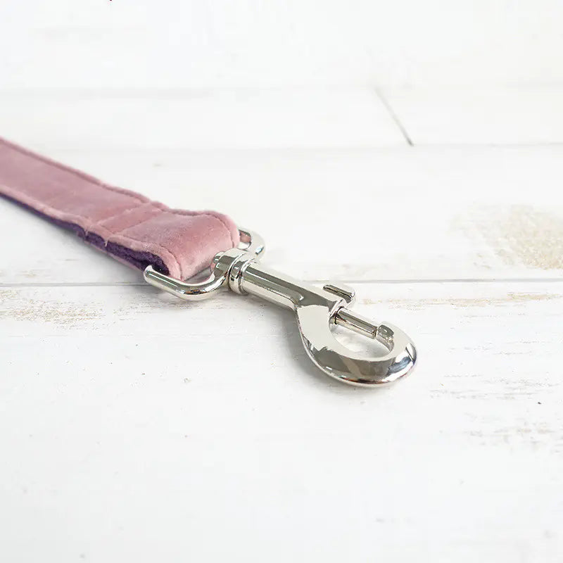 Thick Durable Pet Leash for Dogs and Pets