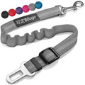 Reflective Automatic Retractable Dog Leash for Small Dogs