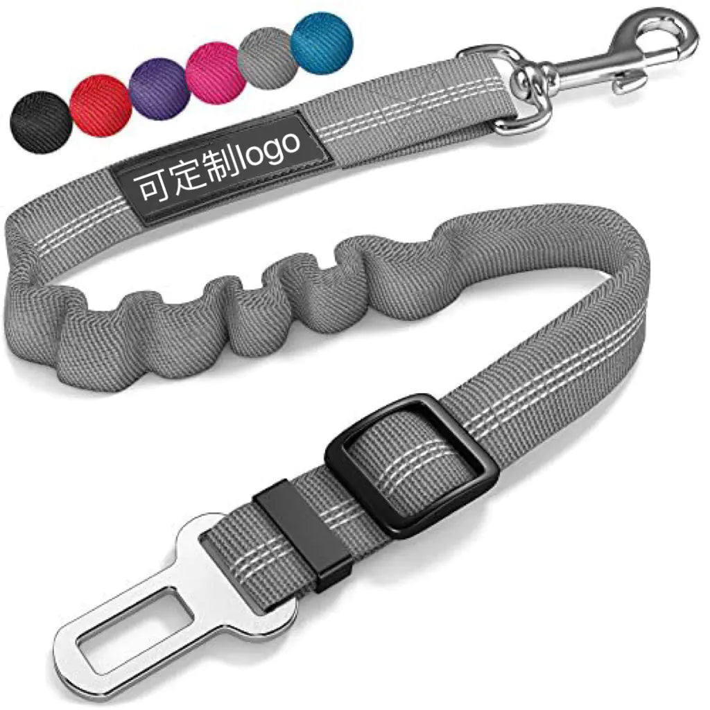 Reflective Automatic Retractable Dog Leash for Small Dogs