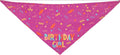 Pet Triangle Scarf and Dog Birthday Bone Toy