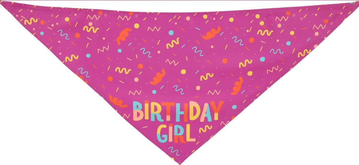 Pet Triangle Scarf and Dog Birthday Bone Toy