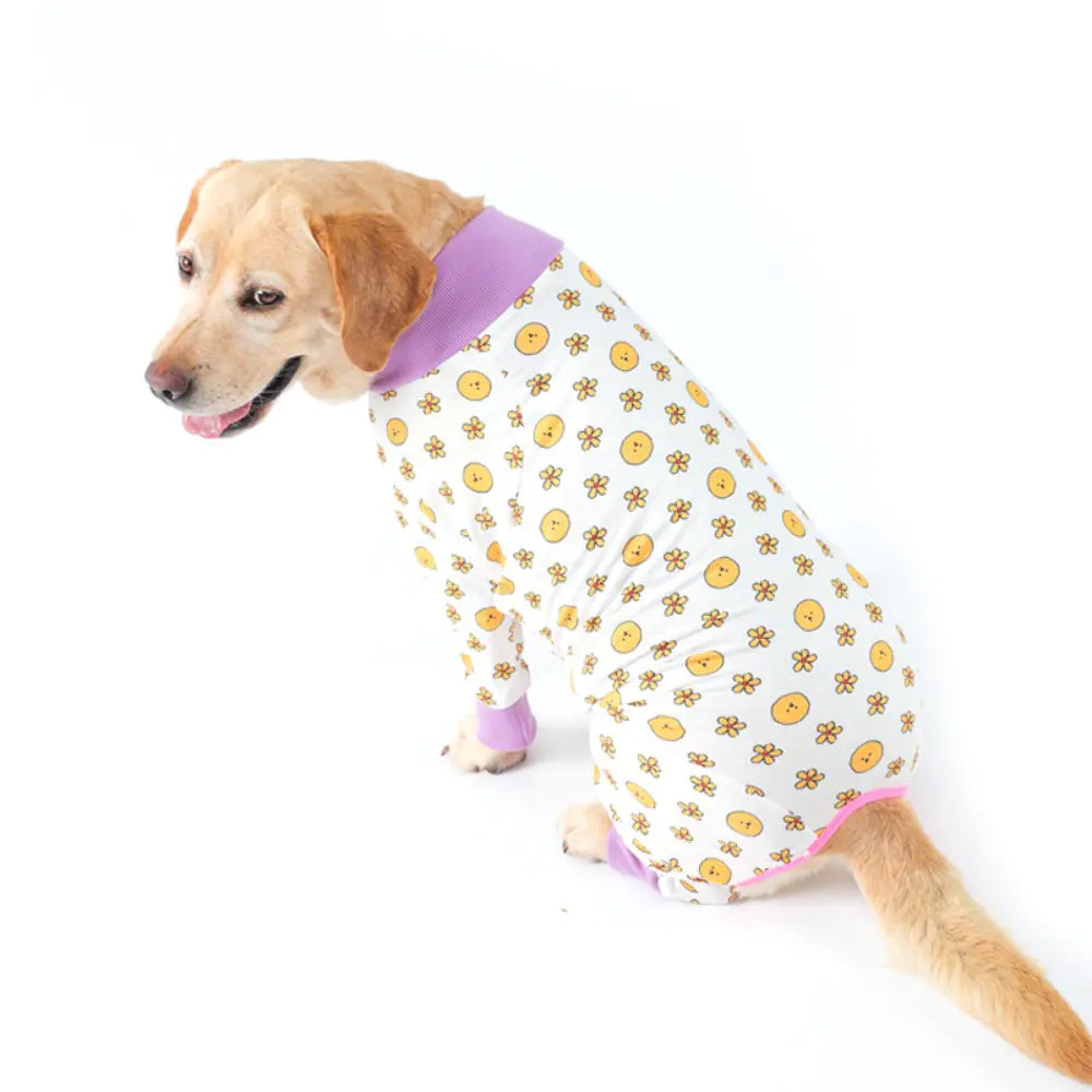 2024 Cute Cartoon Dog Print Bodysuit for Pets