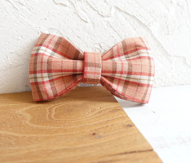 Pet Accessories Bowtie Dog Leash Set