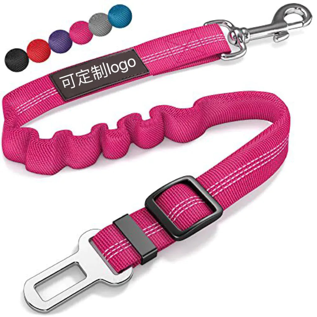 Reflective Automatic Retractable Dog Leash for Small Dogs