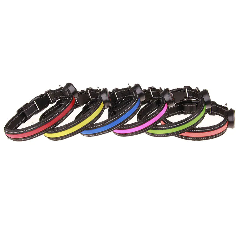 Luminous Dog Collar for Nighttime Visibility