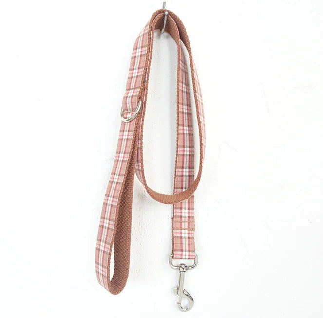 Pet Accessories Bowtie Dog Leash Set