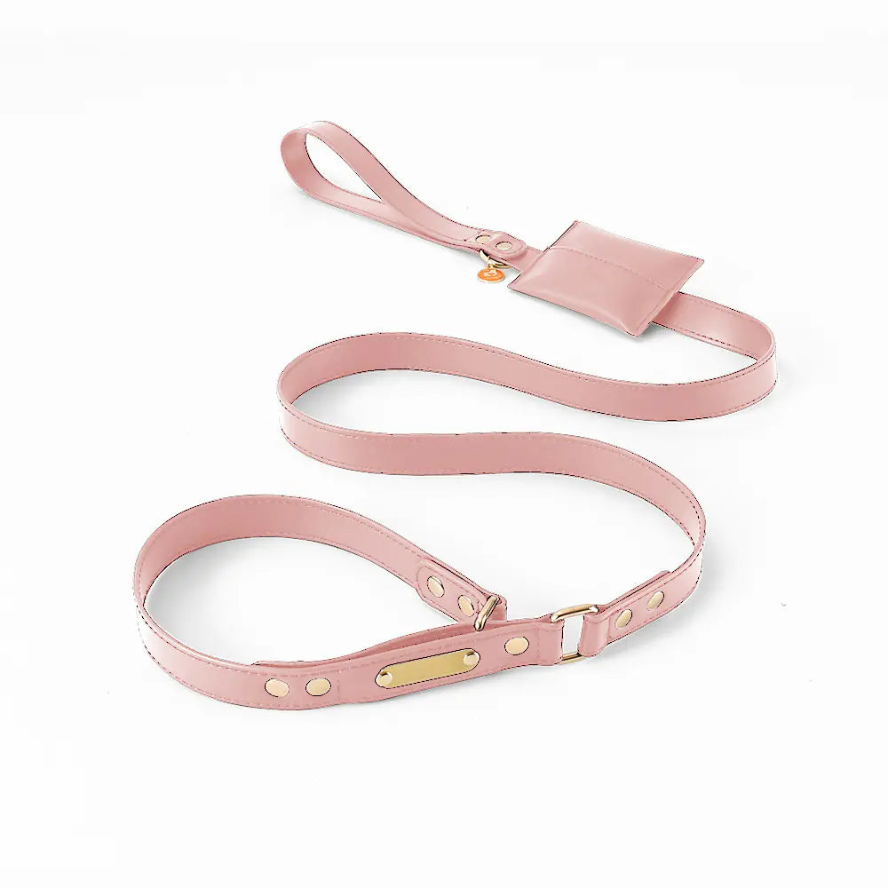 One-Piece Leather Explosion-Proof Dog Leash