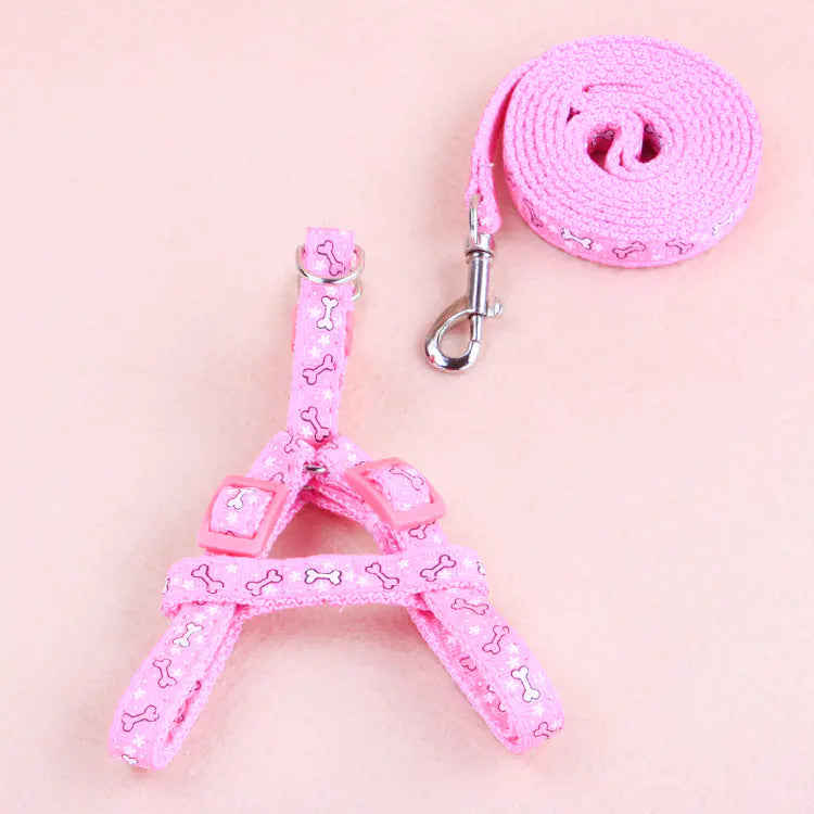 Pet Patch Traction Rope Set for Outdoor Activities
