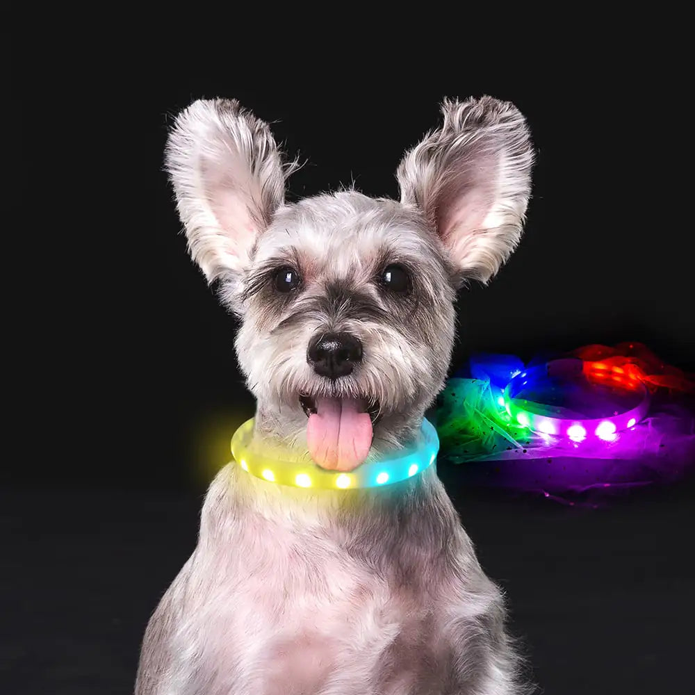 USB Charging Flash Collar for Dogs - Anti-Lost Silicone