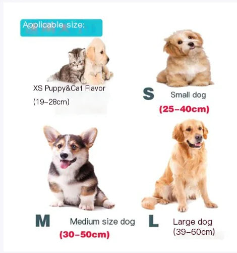 Customizable Pet Collar with Name and Phone Tag