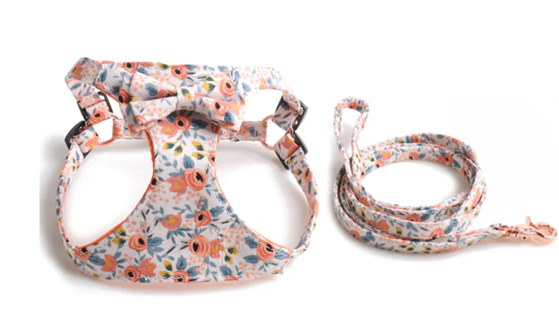 Dog Walking Traction Rope with Vest Type Collar Strap