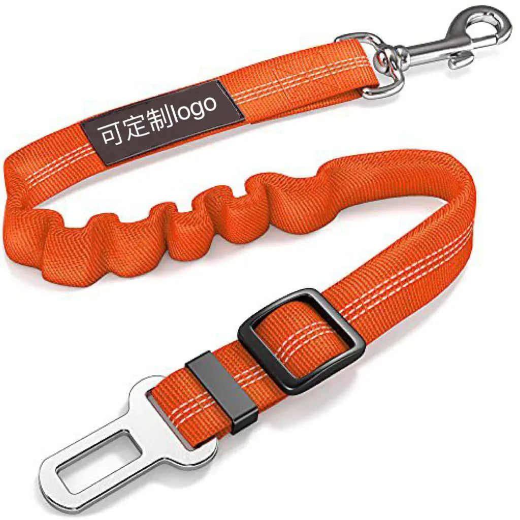 Reflective Automatic Retractable Dog Leash for Small Dogs