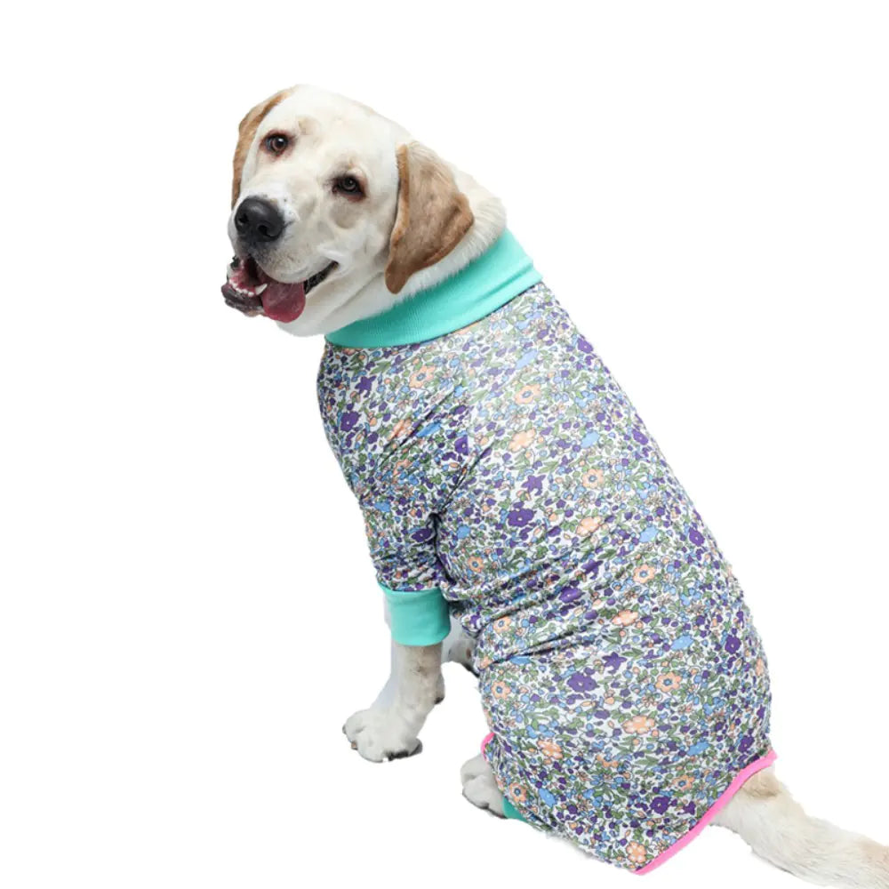 2024 Cute Cartoon Dog Print Bodysuit for Pets