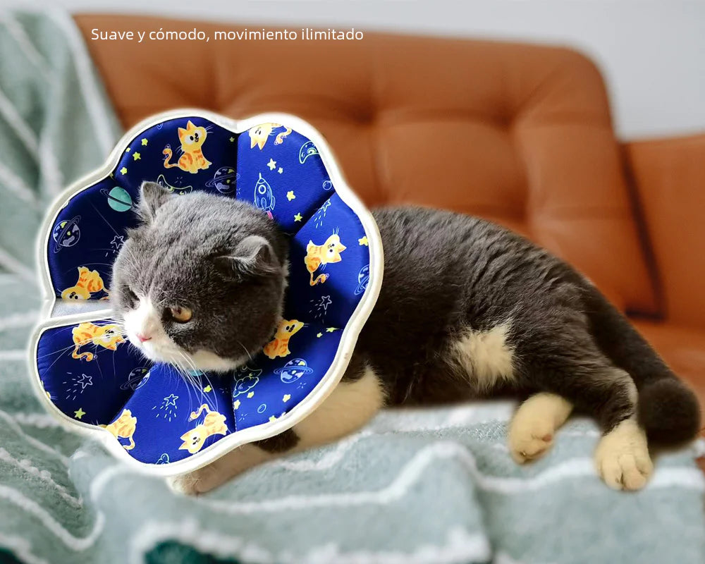 Waterproof Elizabethan Collar for Cats and Small Dogs