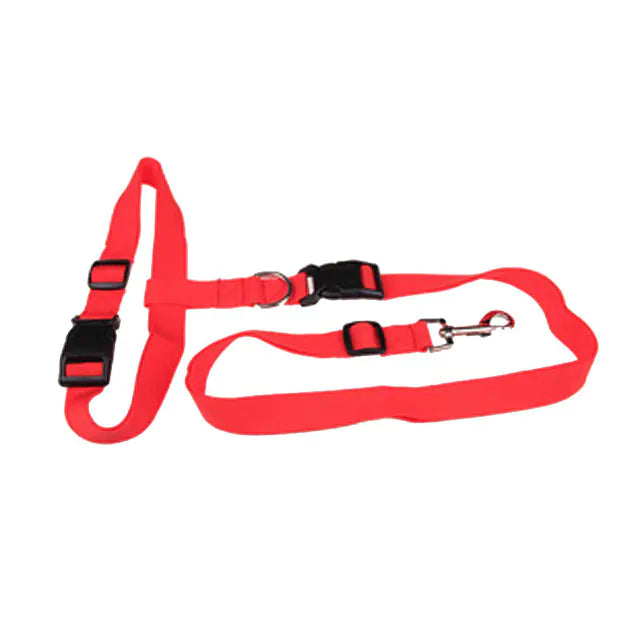 Special Traction Rope for Morning Dog Runs