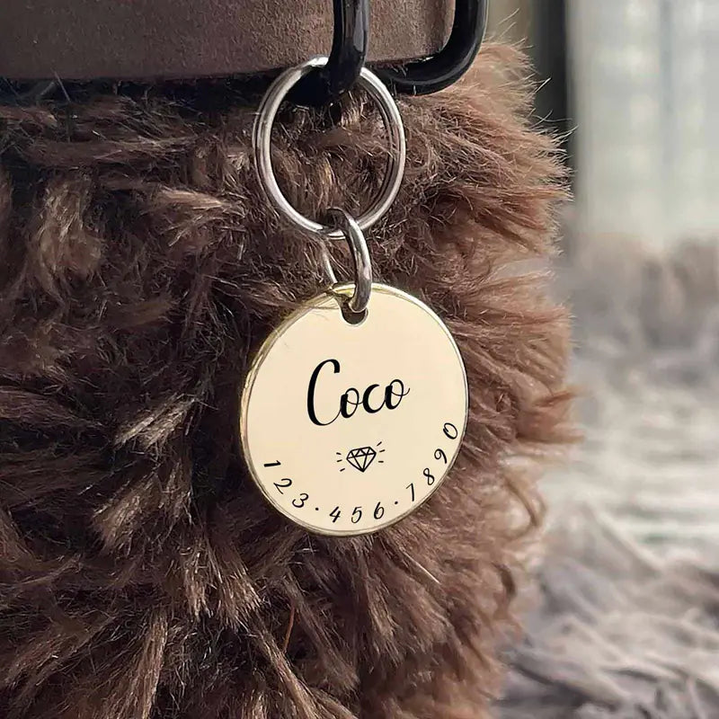 Pet Loss Prevention Tag for Outdoor Adventures