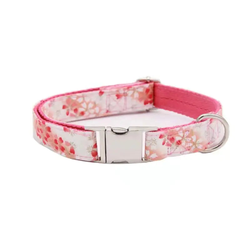 Customizable Pet Collar with Name and Phone Tag