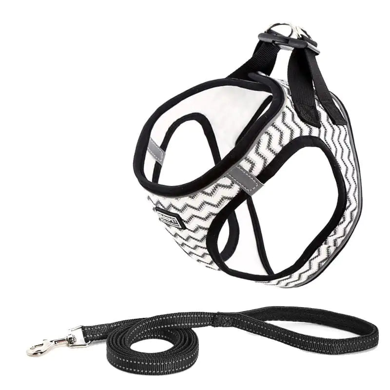 Dog Harness with Leash and Traction Suit Outfit