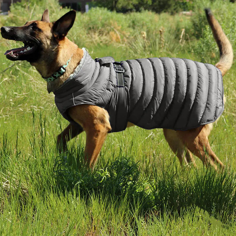 Casual Cotton Clothing for Four-Legged Dogs